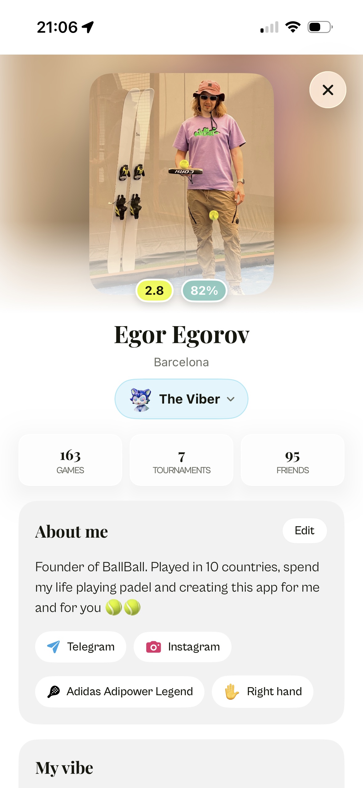 Ballball profile